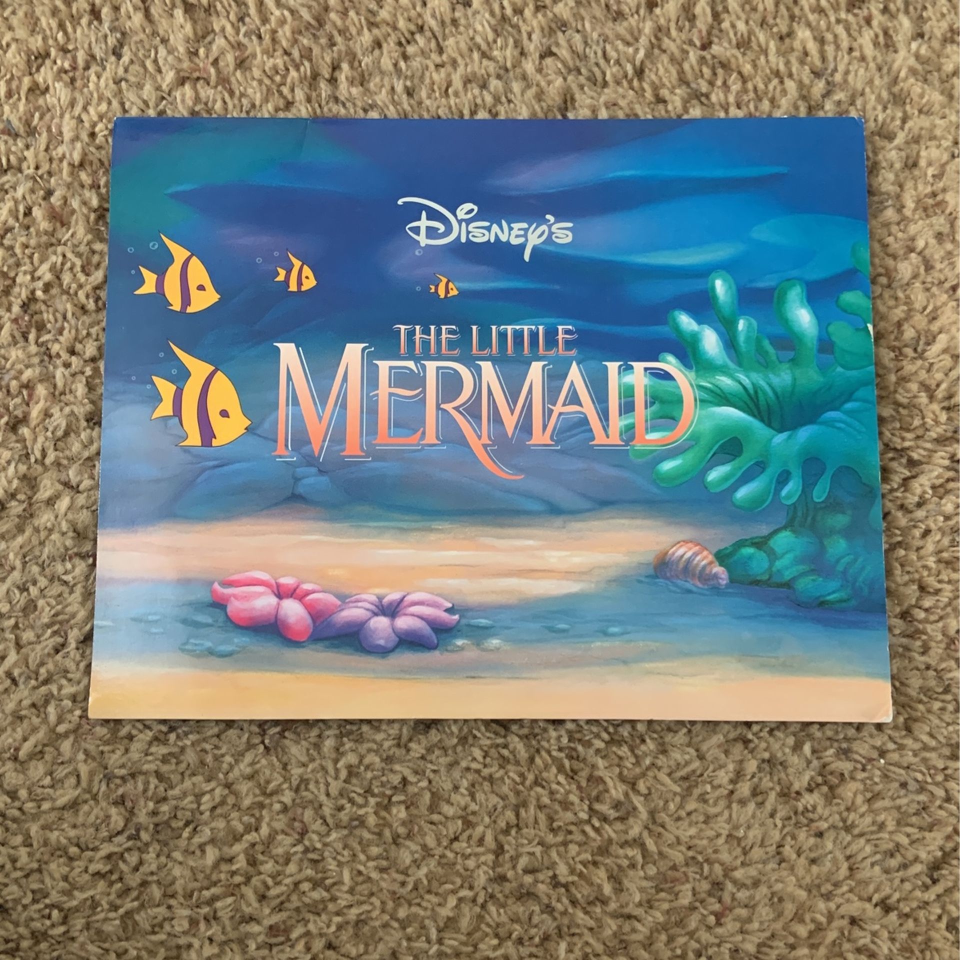 For little Graham portfolio Disney suitable for framing featuring art from the little mermaid