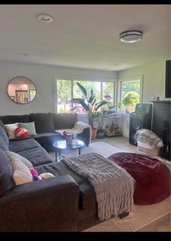 Large Sectional couch