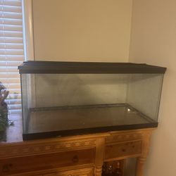 50 Gallon Fish Tank