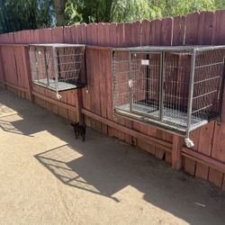 Dog Crates 