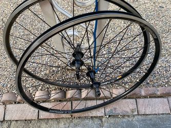 Bontrager rims 700 C