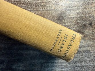 Antique Treasure Island by Robert Louis Stevenson | A.L. Burt Hardcover | Vintage Color Frontispiece | Early 1900s