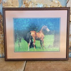 Framed and mattted jigsaw puzzle featuring a brown horse standing in a grassy meadow