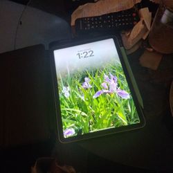 Wi-Fi M1 5th Generation 256 GB Stardust Gold