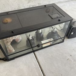 Lizard Tank And Mini Fridge For Worms