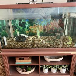 FREE- 50 gallons Aquarium And Cabinet