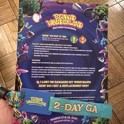 Beyond wonderland friday portion wristband