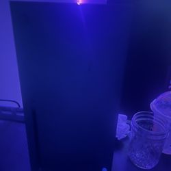 Xbox 1tb For Sale 