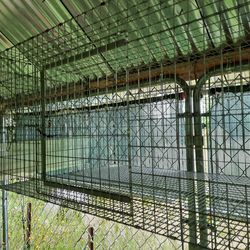 Rabbit Cages