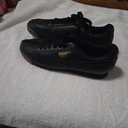 Puma Roma