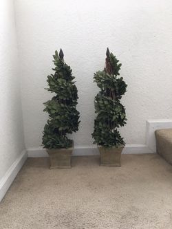 Set of topiary