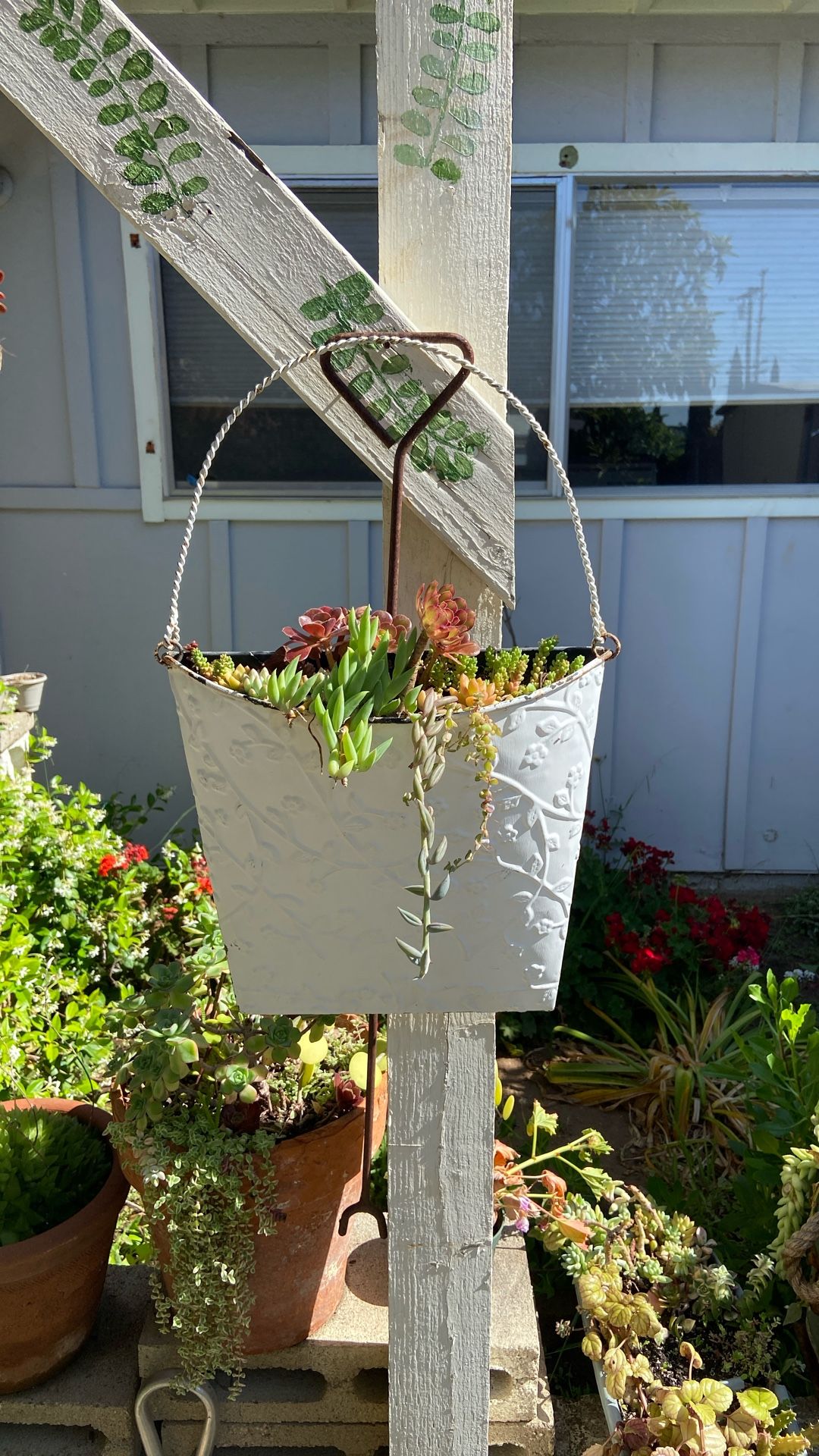 Wall Metal Basket Of Succulents