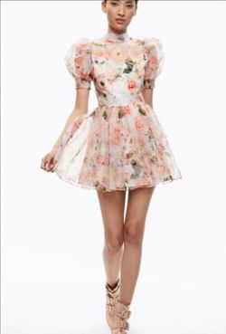 Alice + Olivia dress