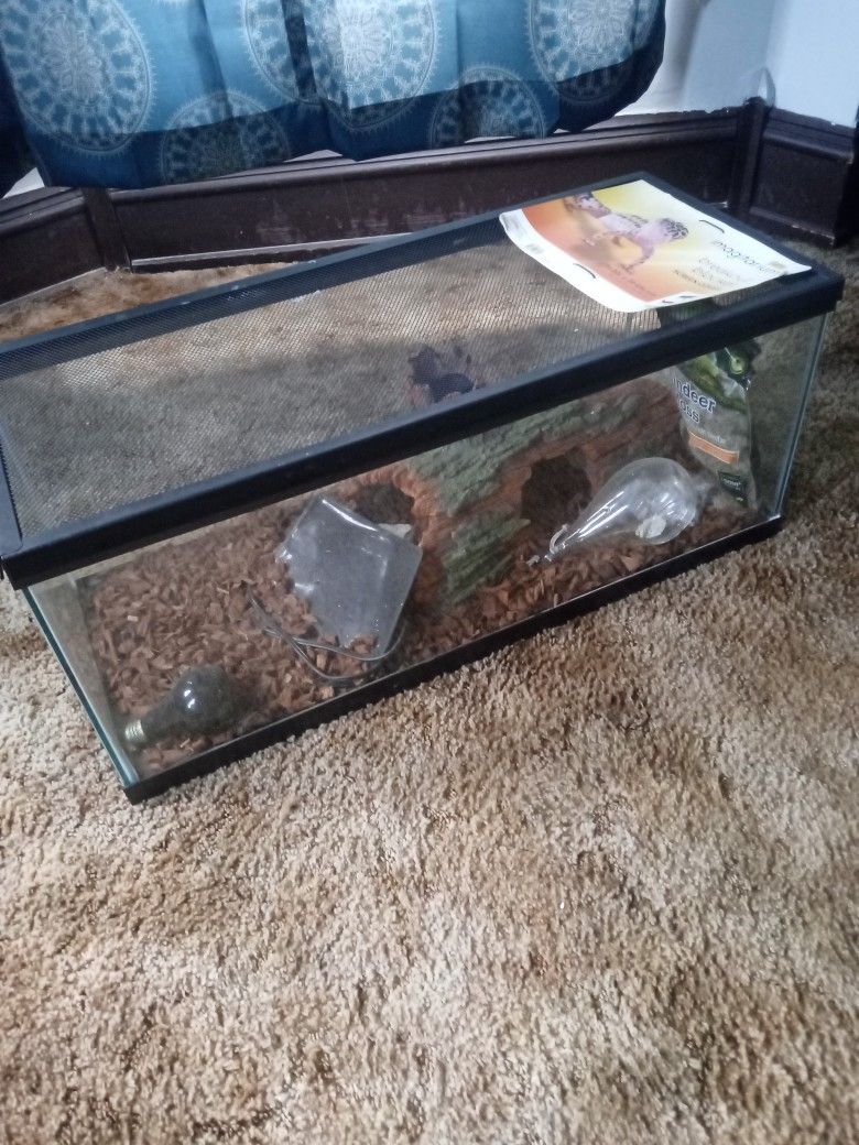 Reptile Aquarium Setup