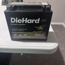 Tx20Hl Motor sport battery