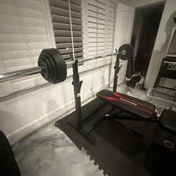 Olympic Weight Set (135lb)  Barbell (45lb) And Bench