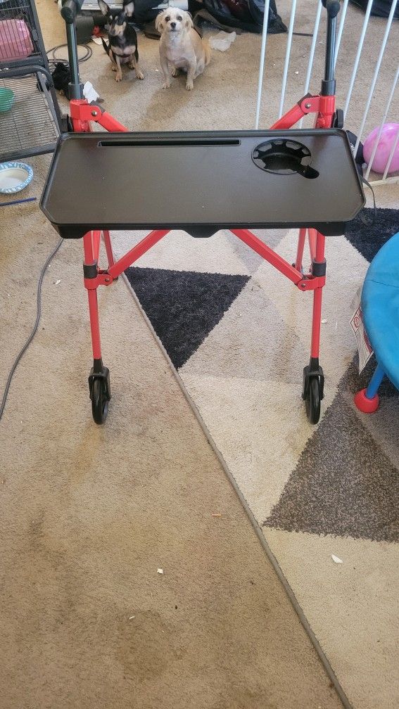Walker W/Tray