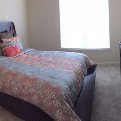 Queen Comforter (Coral/Gray)