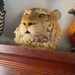 Tigres Récord
