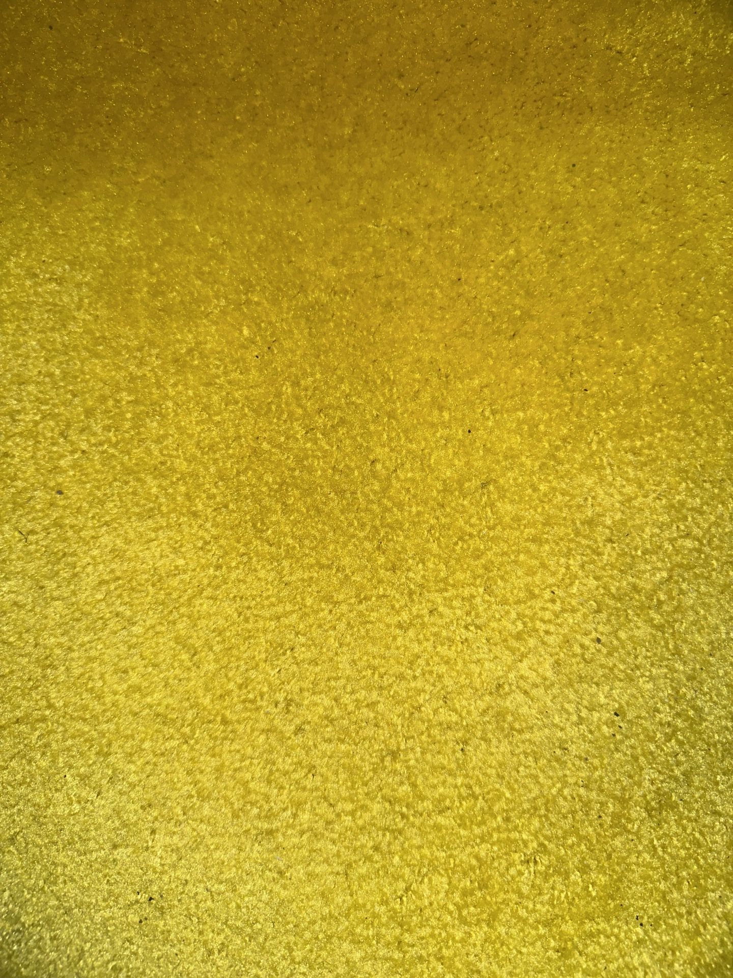 Different Color Carpet