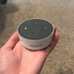 Old echo dot