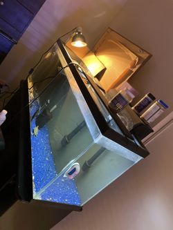 Turtle Tank Aquarium