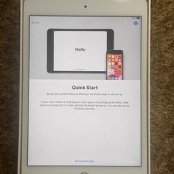 iPad Mini 
