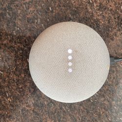 Google Nest Mini