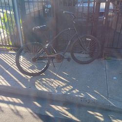 Evo Palmetto Beach Cruiser 