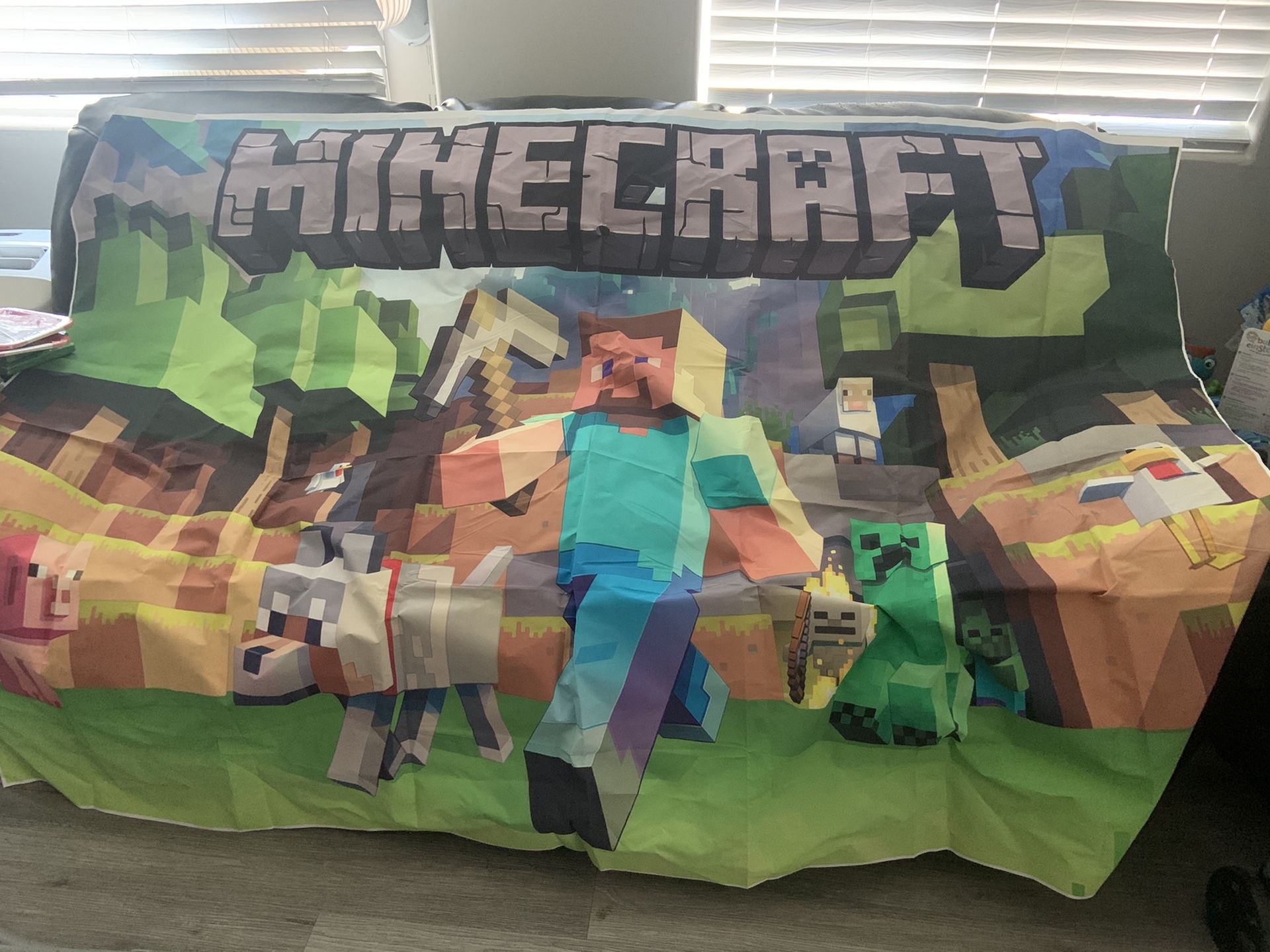 Minecraft party back drop and plates