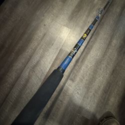 Calstar 870 15-40 Salt Water Fishermans Landing Fishing Rod. 