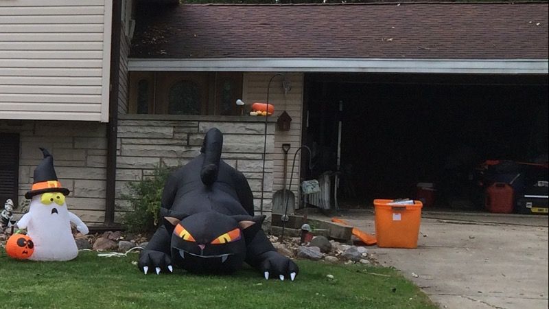6' Long Airblown Halloween Inflatable Animated Black Cat with Turning Head Gemmy Halloween decoration