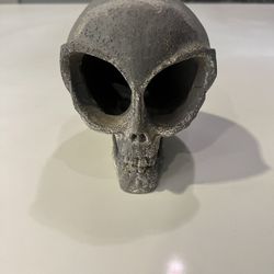 Fish Tank Skull Decor