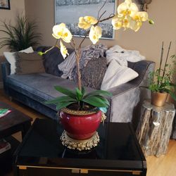 Orchid With Red Planter/Vase