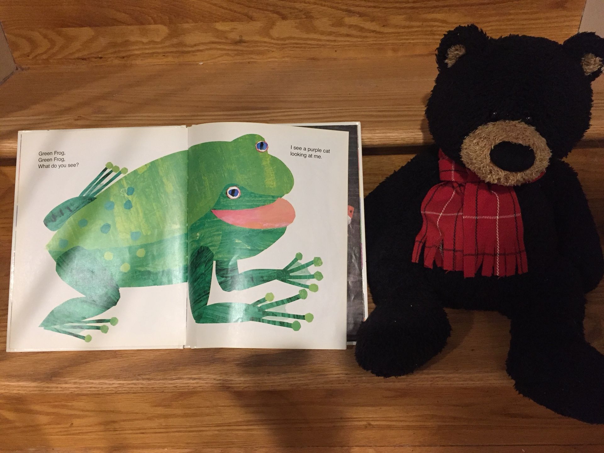 Brown Bear Brown Bear What Do You See Green Frog
