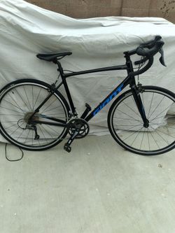 Giant Contend
