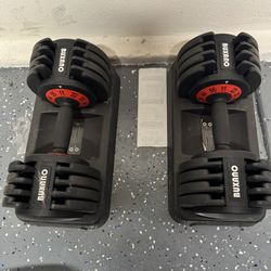Pair Of Adjustable Weights 