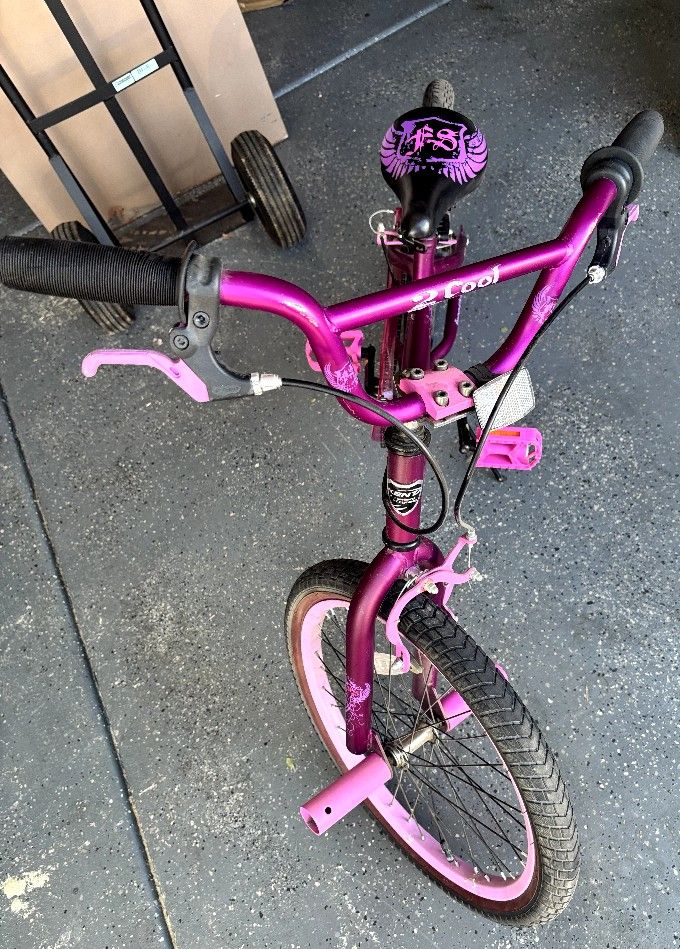 Girls Bike Purple