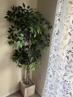 Large Artificial Ficus Tree in Wood Planter
