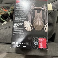 Two Mask Pait