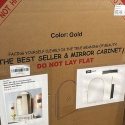 Dovelina 24 in. W x 36 in. H Arched Gold Recessed/Surface Mount Medicine Cabinet with Mirror