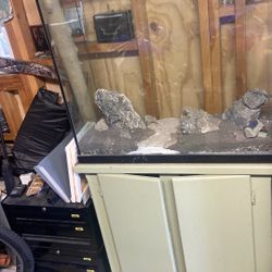 Fish Tank and Pump 