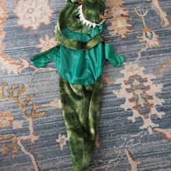 Petco XL Dog Costume