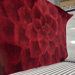 Red rug 100$ or best offer