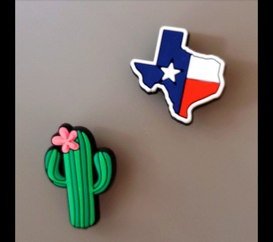 Cactus And Texas Croc Charm