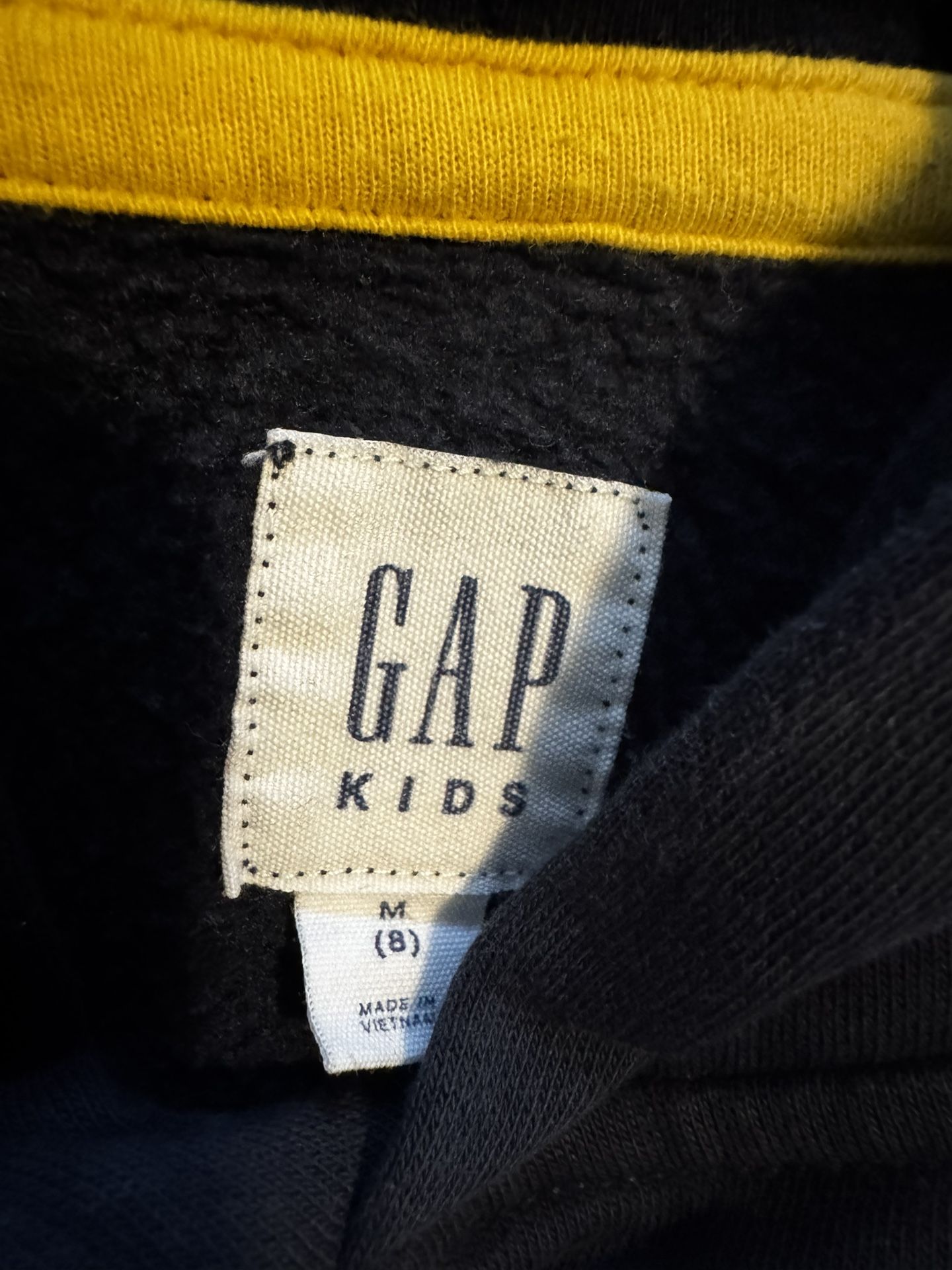 Boys Blue Gap Hoodie 