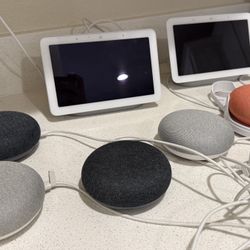 Google Home Mini (nest Mini) And Google Home Hub (nest Hub)