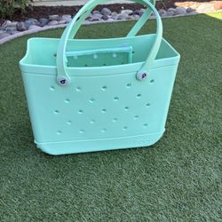 Mint Bogg Bag 