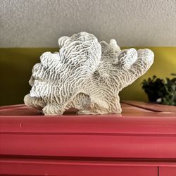 Coral home decor