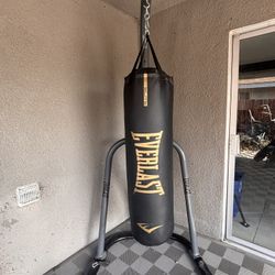 Punching Bag And stand 